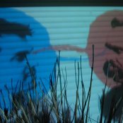 The Dirty Projectors - List pictures