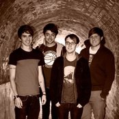 Cardinals - List pictures