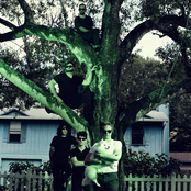 Merchandise - List pictures