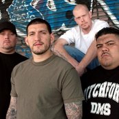 Madball - List pictures