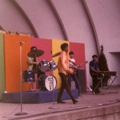 Question Mark & The Mysterians - List pictures