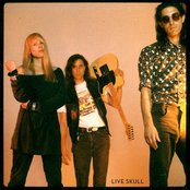 Live Skull - List pictures