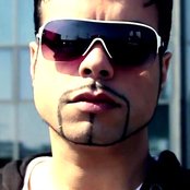 Aligator - List pictures