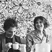 Foxygen - List pictures