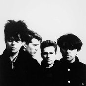 Echo & The Bunnymen - List pictures