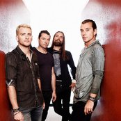 Bush - List pictures