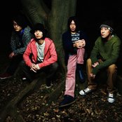 Fuji Fabric - List pictures