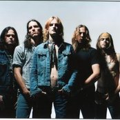 Silvertide - List pictures