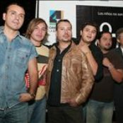 Elefante - List pictures