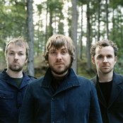 Doves - List pictures