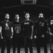 Krokodil - List pictures