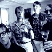 The Fleshtones - List pictures