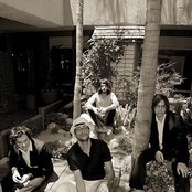 As Tall As Lions - List pictures