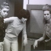 The Shangri-las - List pictures