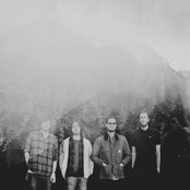 Cheatahs - List pictures