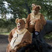 2 Bears - List pictures