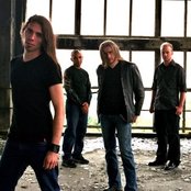 Old Dead Tree - List pictures