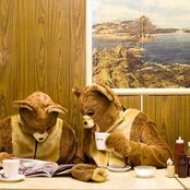 2 Bears - List pictures