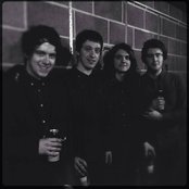 Sabella - List pictures