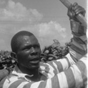 James Carter & The Prisoners - List pictures