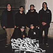 First Degree - List pictures