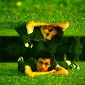 Vena - List pictures