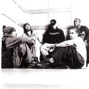 Arsonists - List pictures