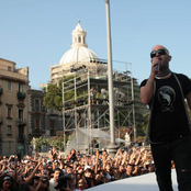 Negramaro - List pictures