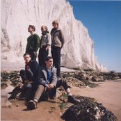 British Sea Power - List pictures