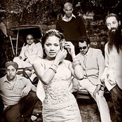 Dengue Fever - List pictures