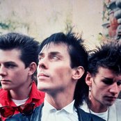 Bauhaus - List pictures