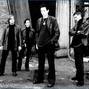 Bay Laurel - List pictures