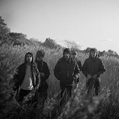 Foals - List pictures