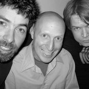 Silkworm - List pictures