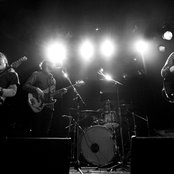 Kinoko Teikoku - List pictures