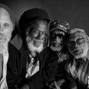 Congos - List pictures