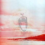 Visions Of Trees - List pictures