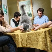 Miniature Tigers - List pictures