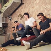 Fuzzy White Casters - List pictures