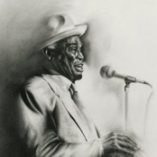 Willie Dixon - List pictures
