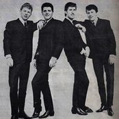 Searchers - List pictures