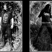 Madrigal - List pictures