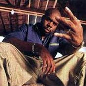 King T - List pictures