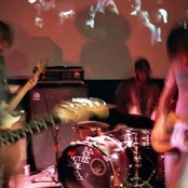 Dogs On Acid - List pictures