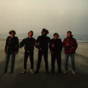 Blood - List pictures