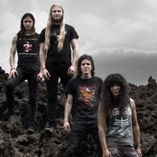 Vektor - List pictures