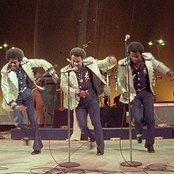 The Spinners - List pictures