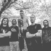 Omega Diatribe - List pictures