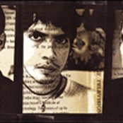 Calla - List pictures