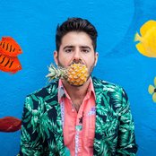 Viceroy - List pictures